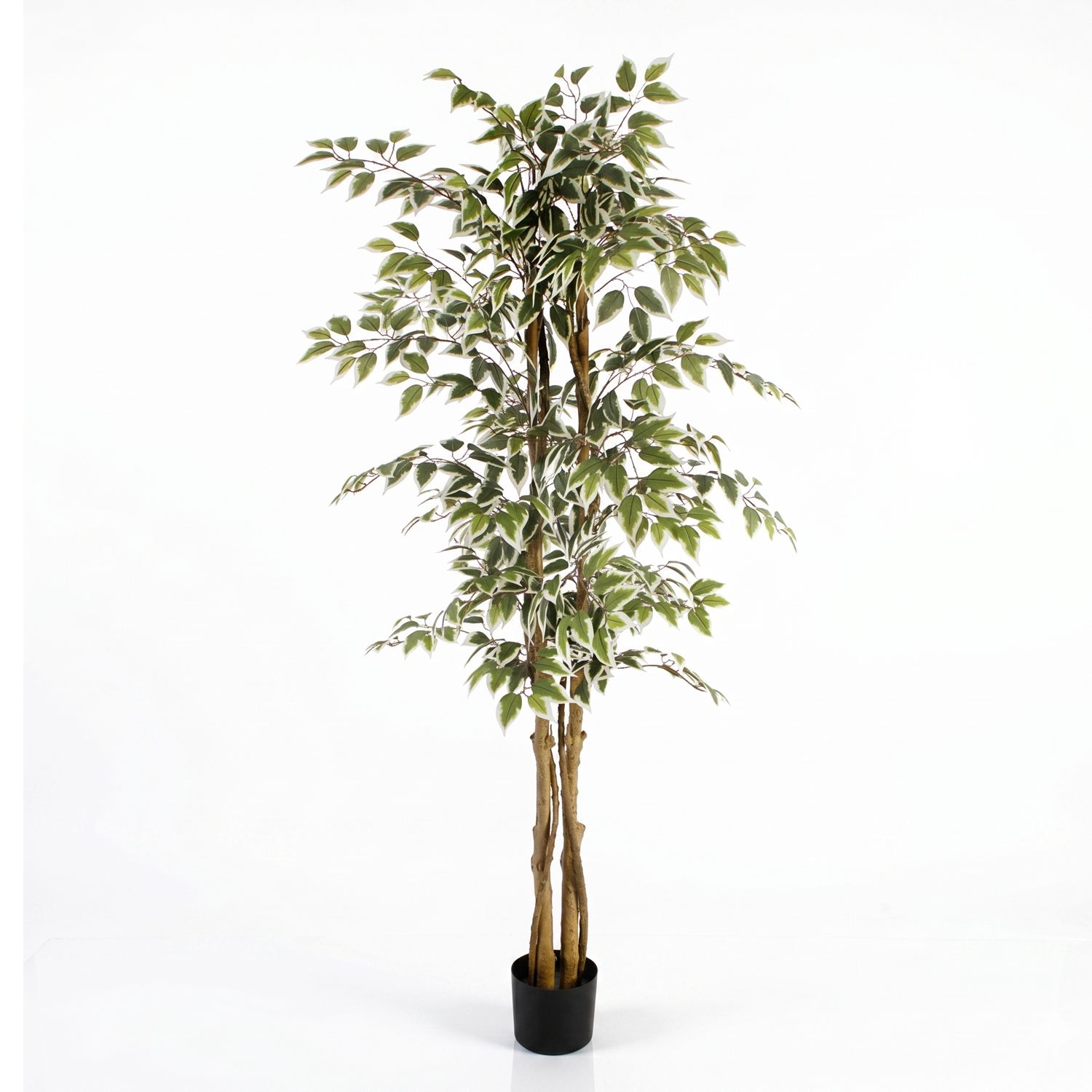 ALBERO DI FICUS ARTIFICIALE 180cm 2 FUSTI 18 RAMI