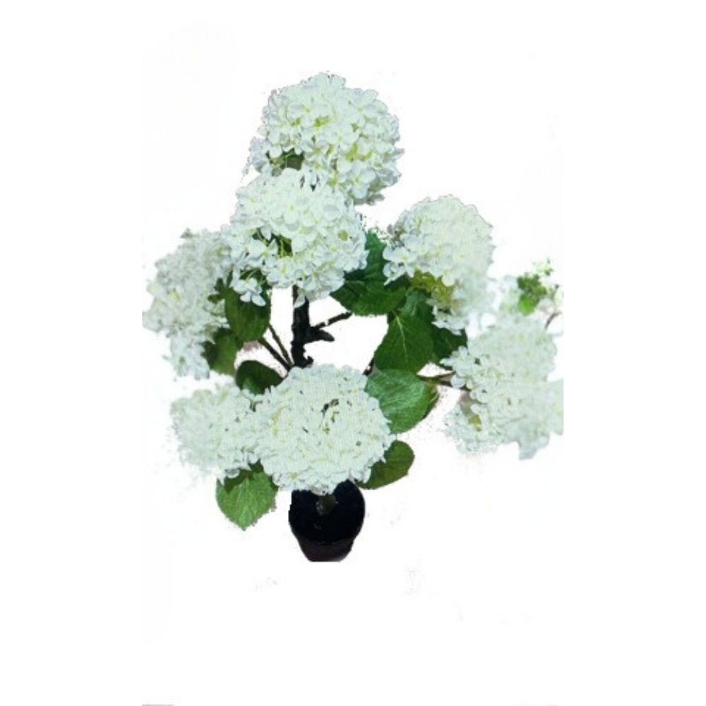 57880.jpg Pianta ornamentale di Ortensia in vaso 150 cm colore bianco - immagine 1