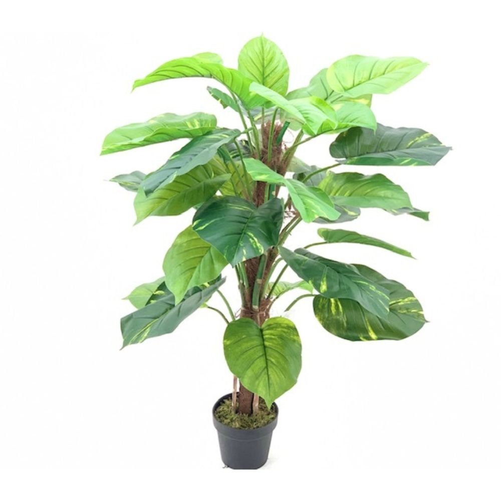 61370.jpg Pianta ornamentale Pothos a foglie verdi con vaso 120 cm. - immagine 1